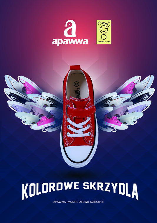 Apawwa’s Charitable Donation to Polish Primary School